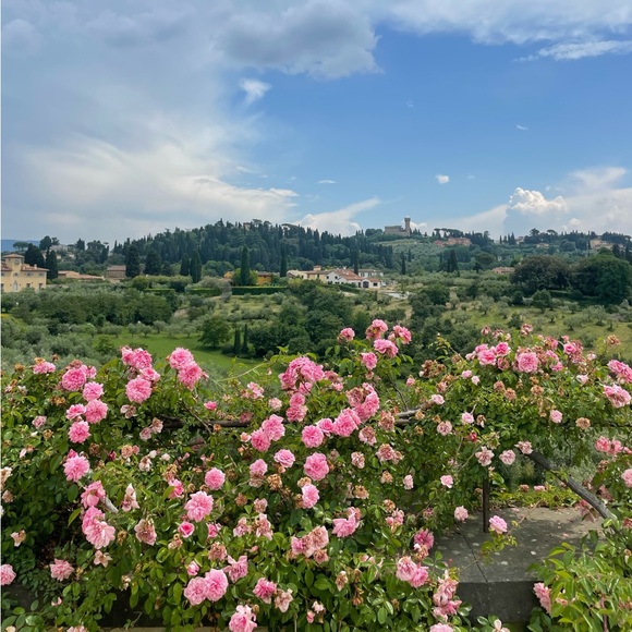 Meet your Posher, Grace - Picture 5 of 6